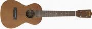 BANJOS, UKULELEN, MANDOLINEN, BOUZOUKIS, ZITHERN